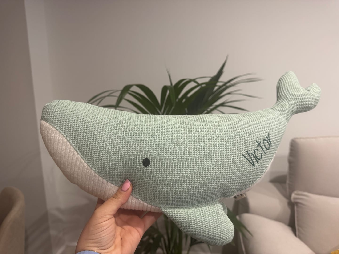 Customer photo review of Peluche Ballena Susi - MENTA