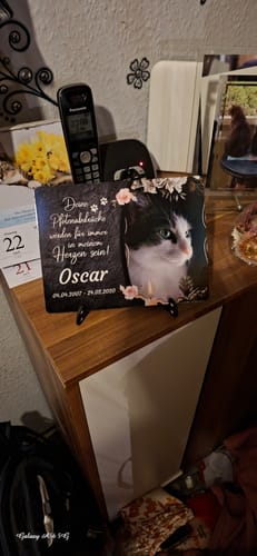 Customer photo review of Katzen Gedenktafel mit Foto & Spruch (UV- & Wetterfest)