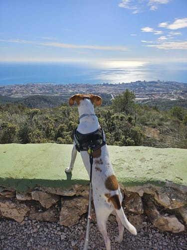 Customer photo review of Light