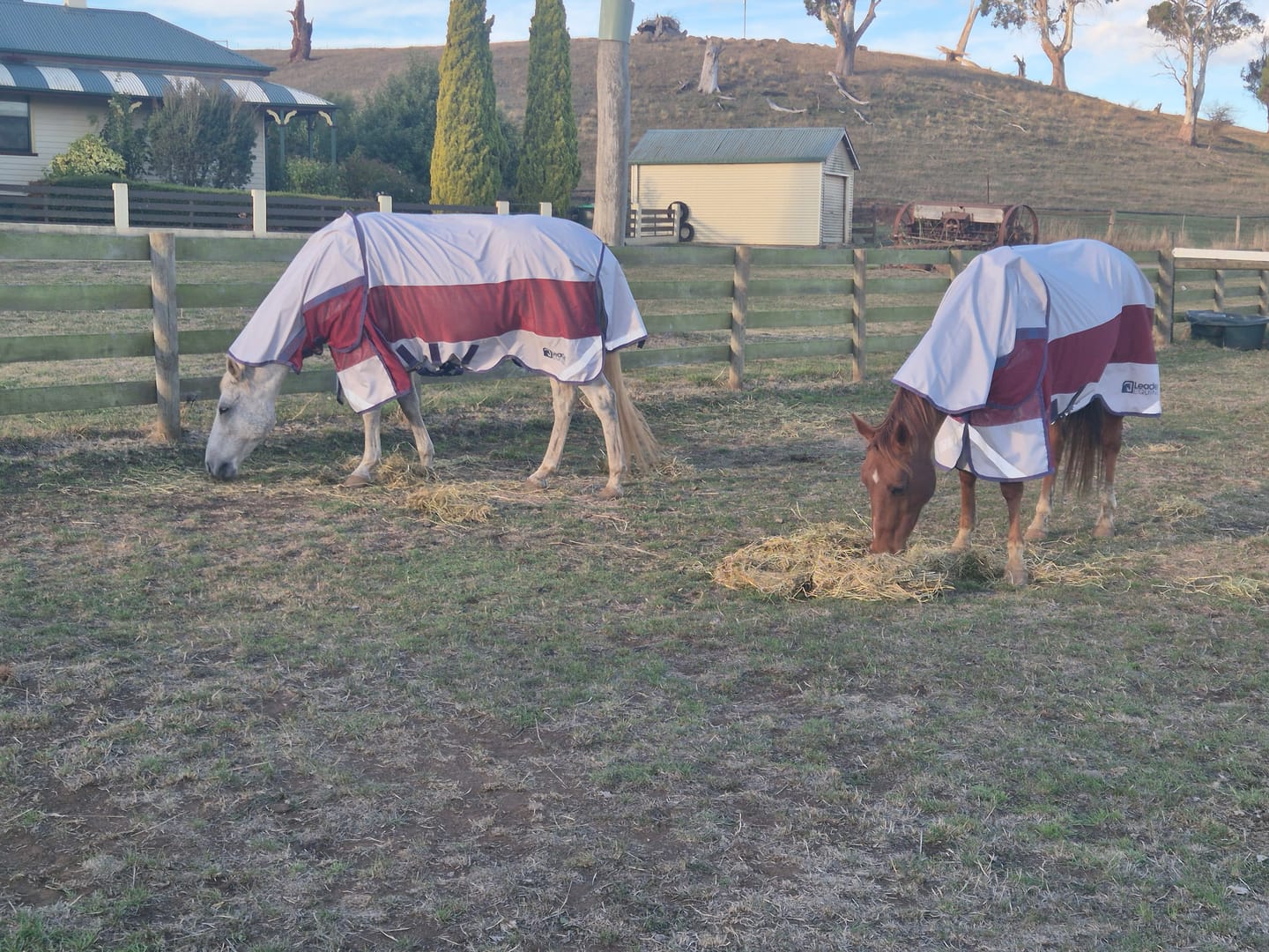 Customer photo review of LE Boxter Hybrid Mack Turnout 0g