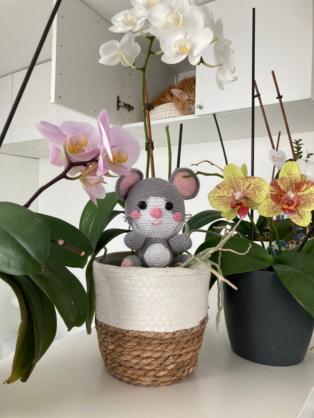 Customer photo review of Kit de Crochet - Tuto Vidéo 4K - Sophie la Souris | My Woolease