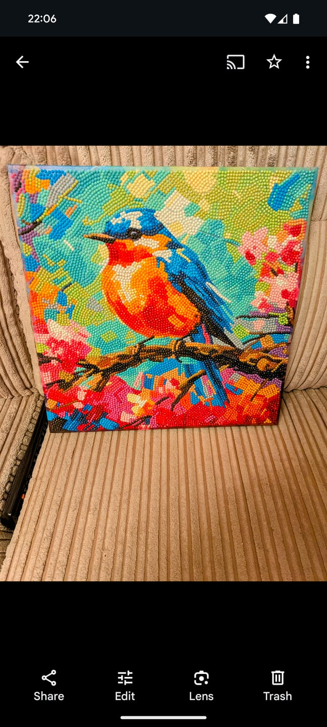 Customer photo review of "Spring Robin" Crystal Art Canvas Kit 30x30cm