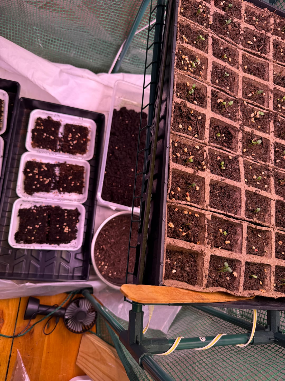 Customer photo review of Soil Block Maker Small 20 Cells