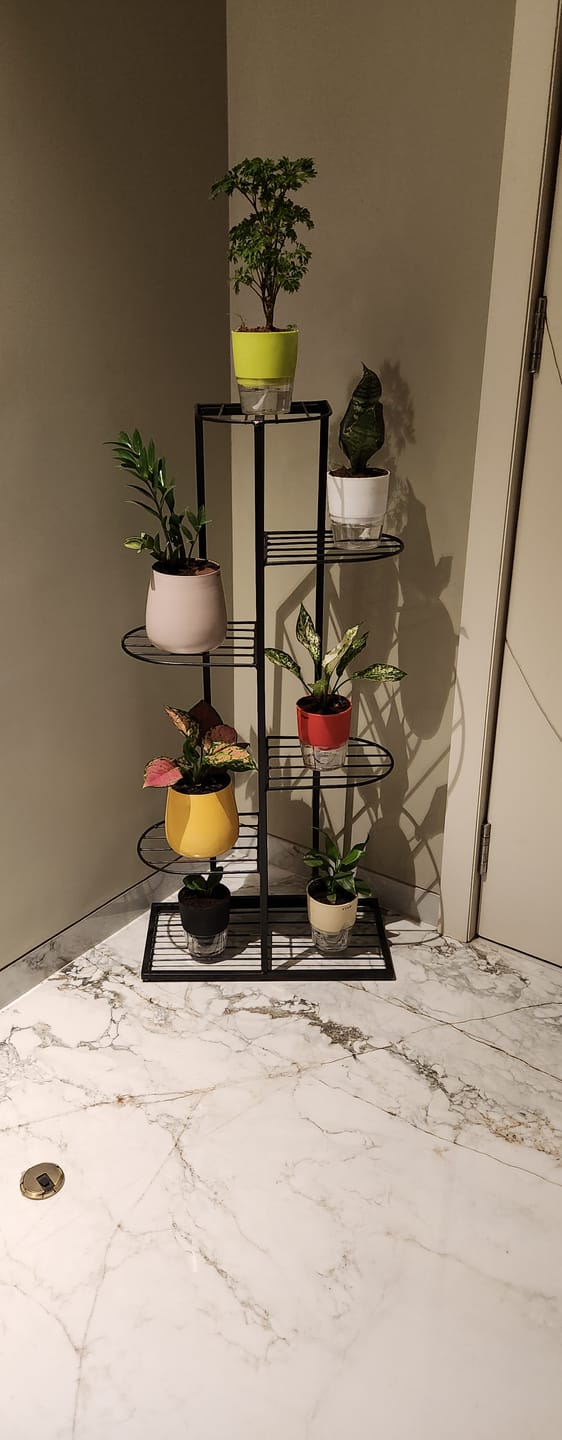 Customer photo review of Plant Stand Metal 6 Tier 7 Potted Multiple Flower Pot Holder Shelf Indoor Outdoor Planter Display Shelving Unit For Patio Garden Corner