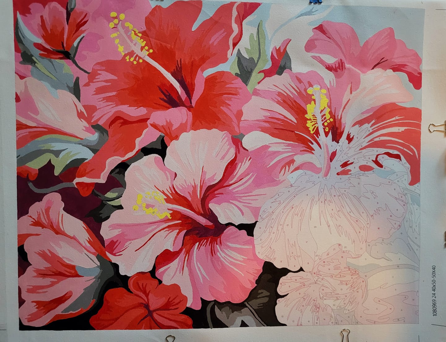 Customer photo review of Hibiscus Harmony