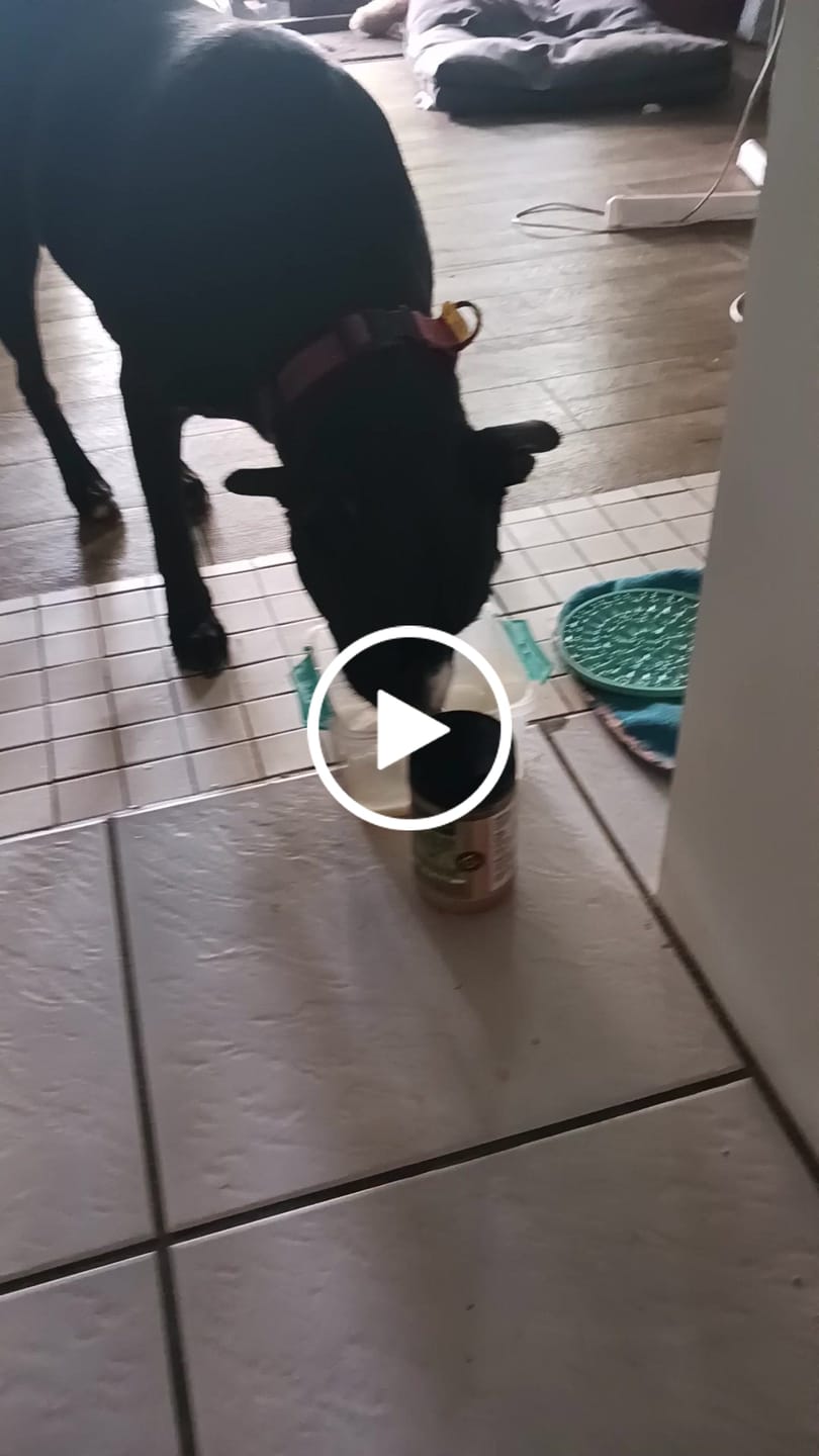 Customer video review of Grass-Fed Beef Bone Broth Concentrate