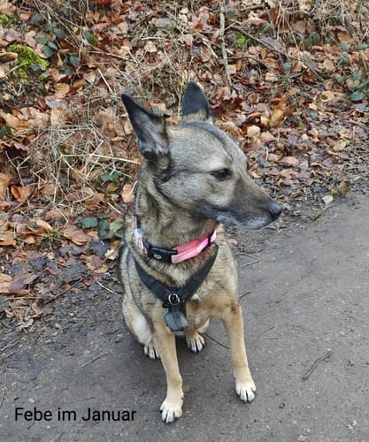 Customer photo review of Nature Protect