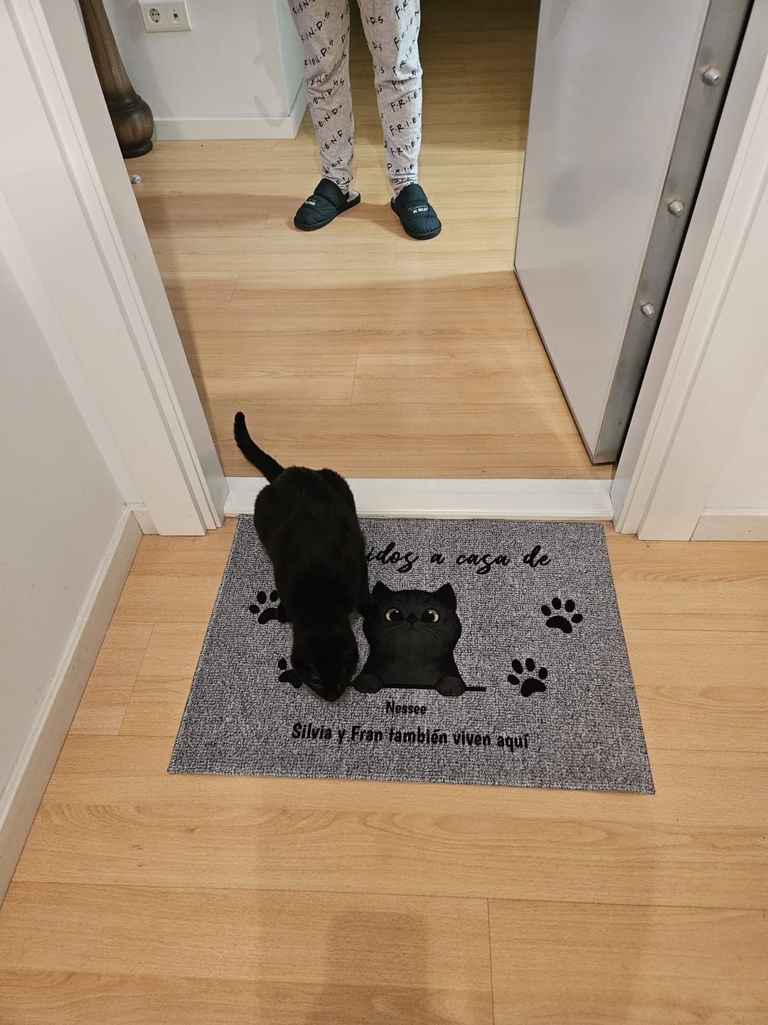 Customer photo review of Bienvenidos a lo de gatos curiosos - Felpudo personalizado
