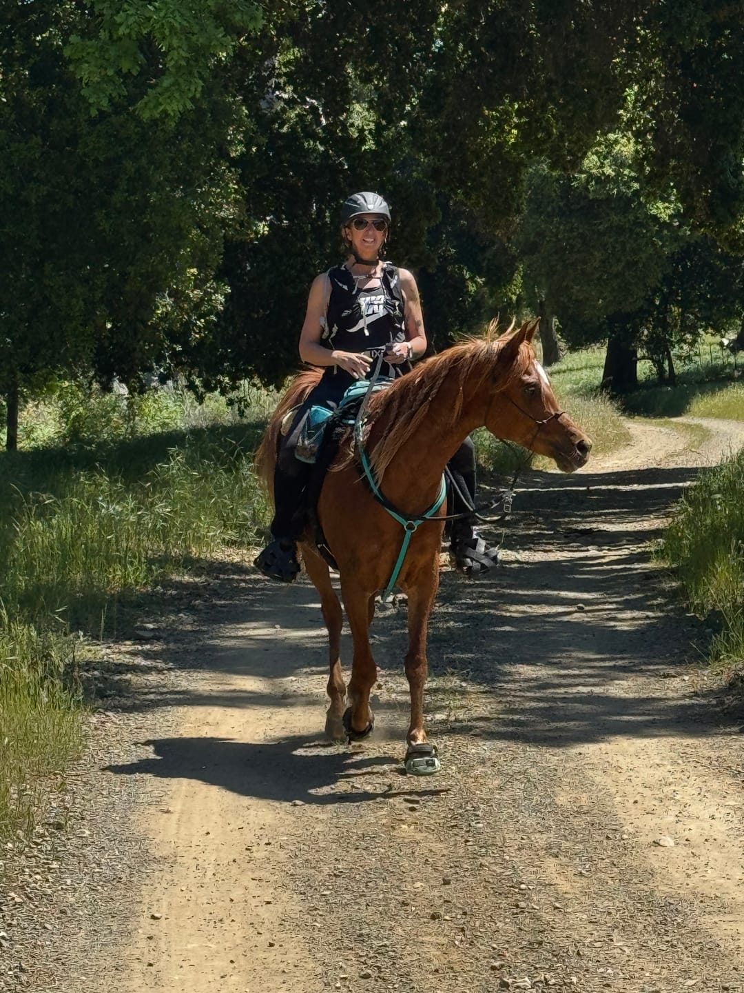 Customer photo review of Renegade® Viper Glow™ Hoof Boots - Caribbean Dream