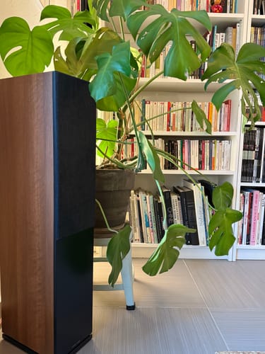 Customer photo review of FORUS 55