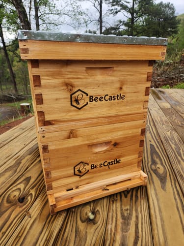 Customer photo review of BeeCastle Hives 10 Frame Wax Coat Complete Beehive Kit:2 Designed Deep Bee Boxes and 1 Super Medium Box,Includes Premium Wooden Frames and Beeswax-Plastic Foundation