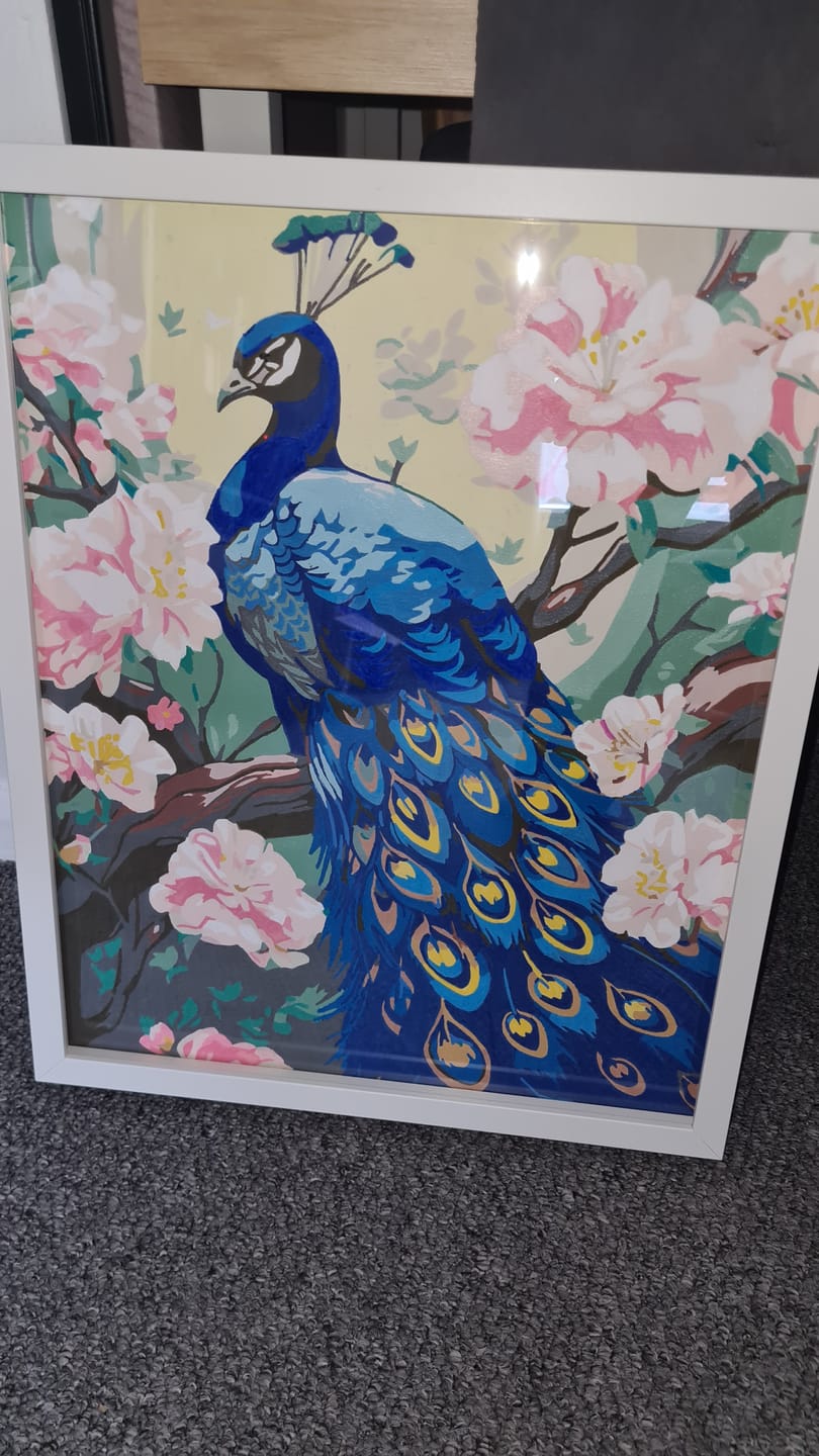 Customer photo review of Charming Peacock