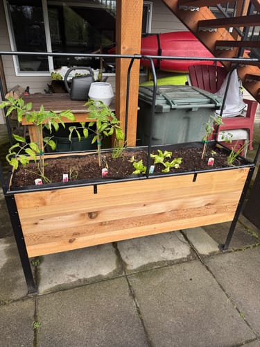 Customer photo review of 18" x 60" Raised Garden Bed - 30" TALL