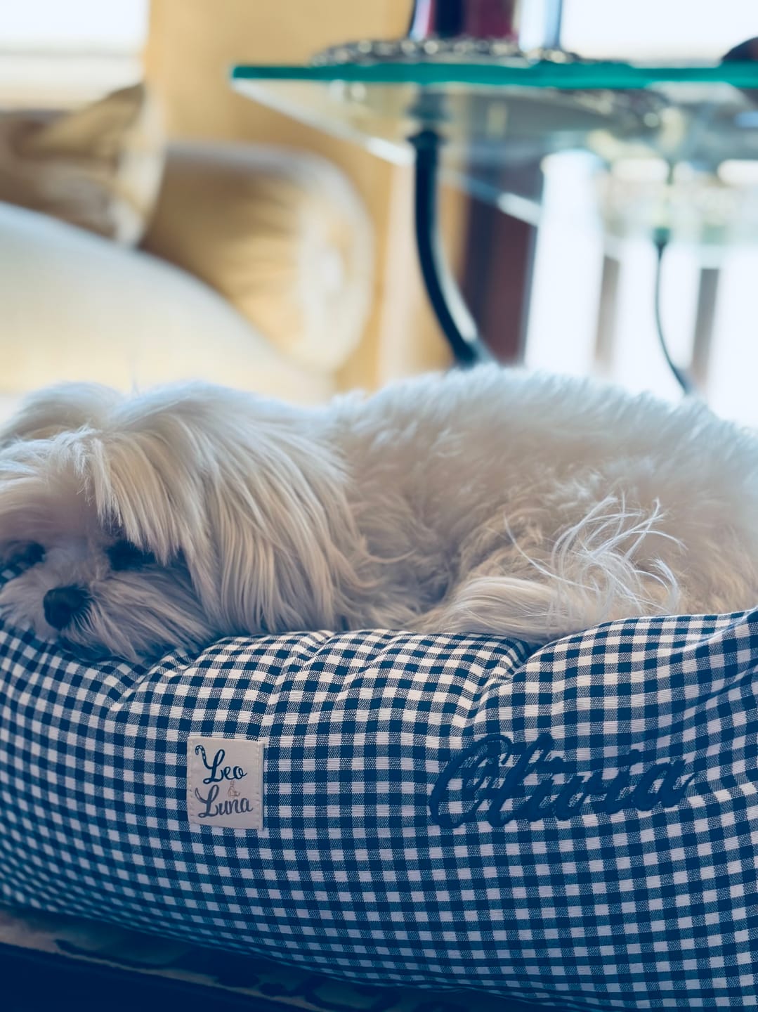 Customer photo review of Divanetto Cotone Vichy Navy