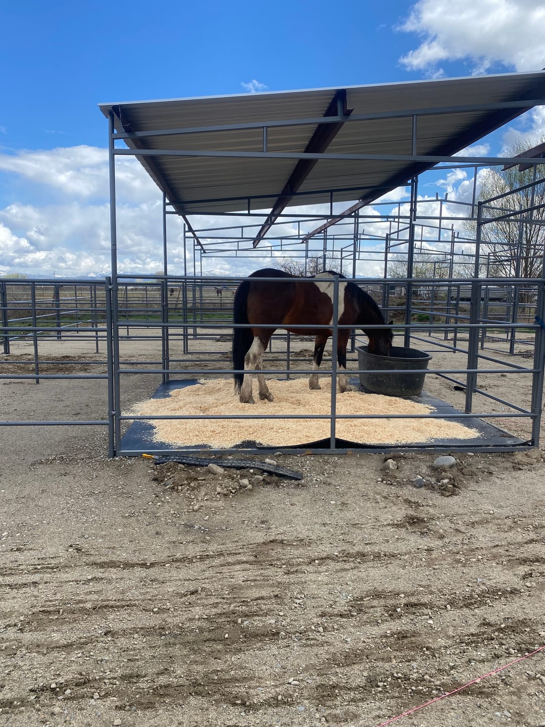 Customer photo review of Mare Motel with (8) 12x24 Stalls and 12ft Breezeway 4-Rail
