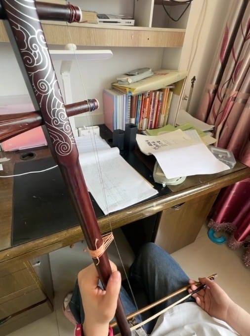 Customer photo review of Huqiu Performance Grade Erhu Strings 1213 (Gold Medal) – Premium German Steel