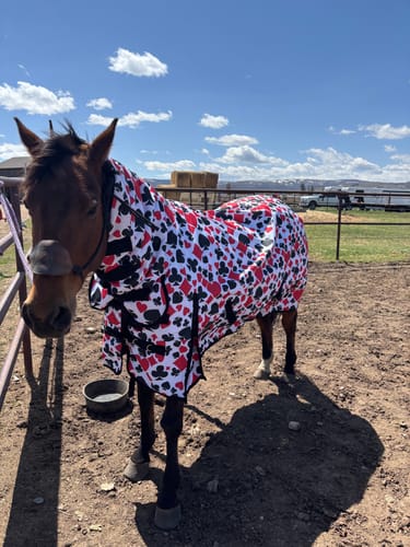 Customer photo review of TACKTICAL™ GAMBLER 1200D PERFECT FIT WINTER BLANKET WITH NECK
