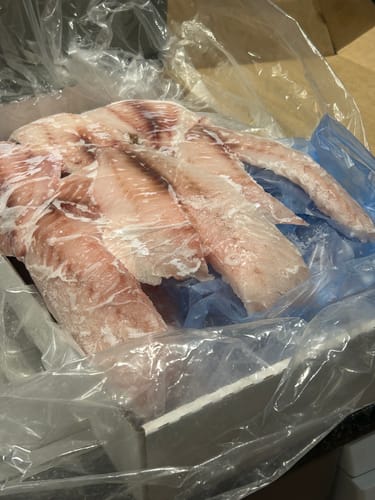 Customer photo review of 5KG Snapper Fillets (Skinned and Boned) Frozen