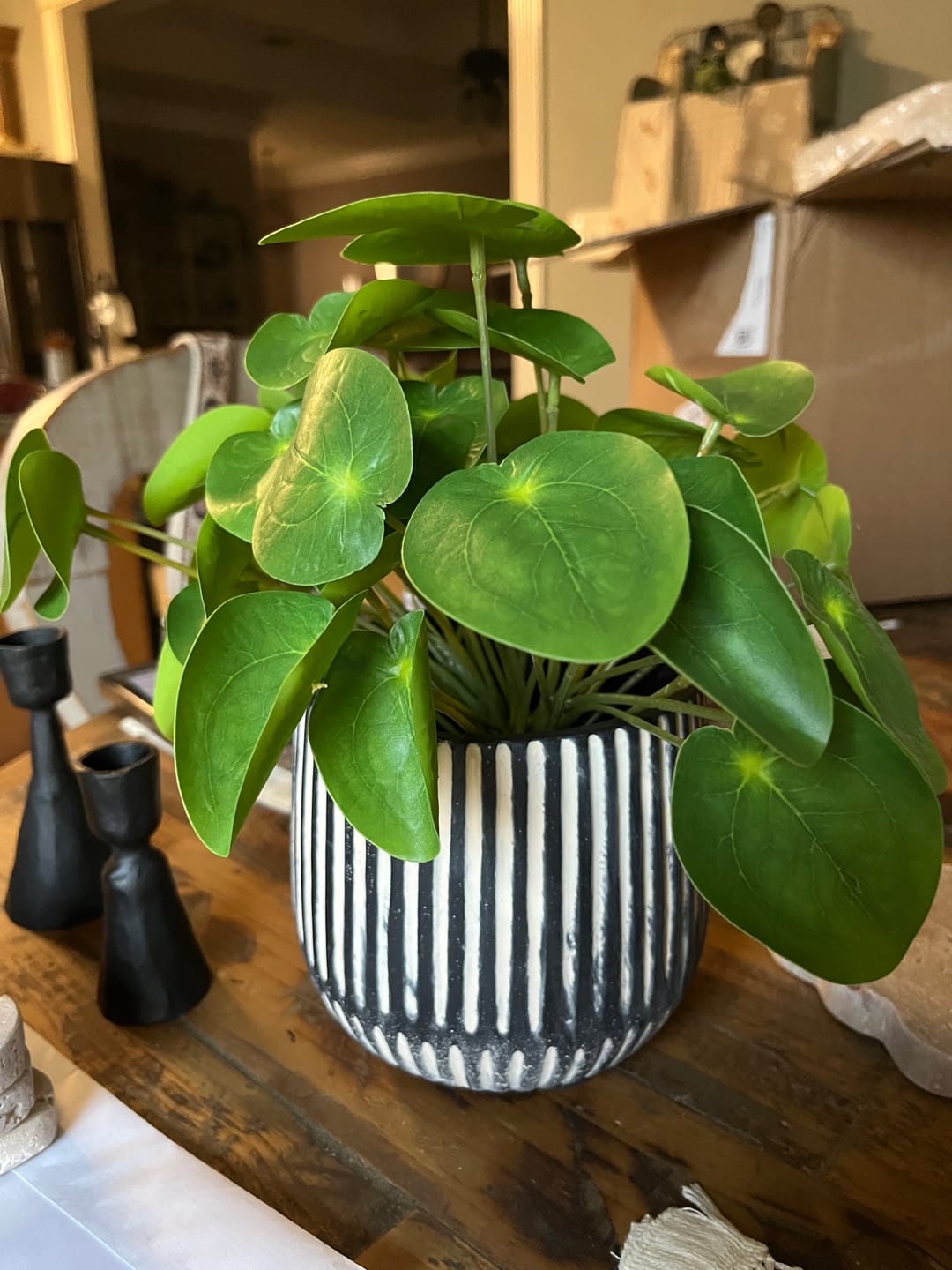 Customer photo review of Lily Pad Pick