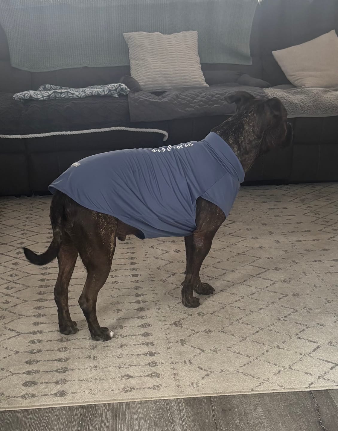 Customer photo review of Sunblock Dog T-Shirt - Navy Blue