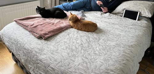 Customer photo review of Laundry Detergent Sheets (2 Boxes)