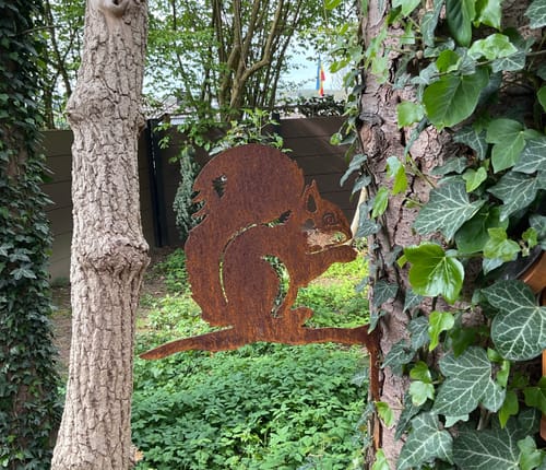 Customer photo review of Baumstecker Eichhörnchen