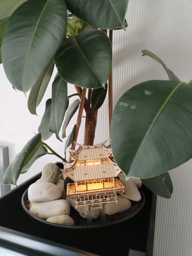 Customer photo review of Temple of Gratitude