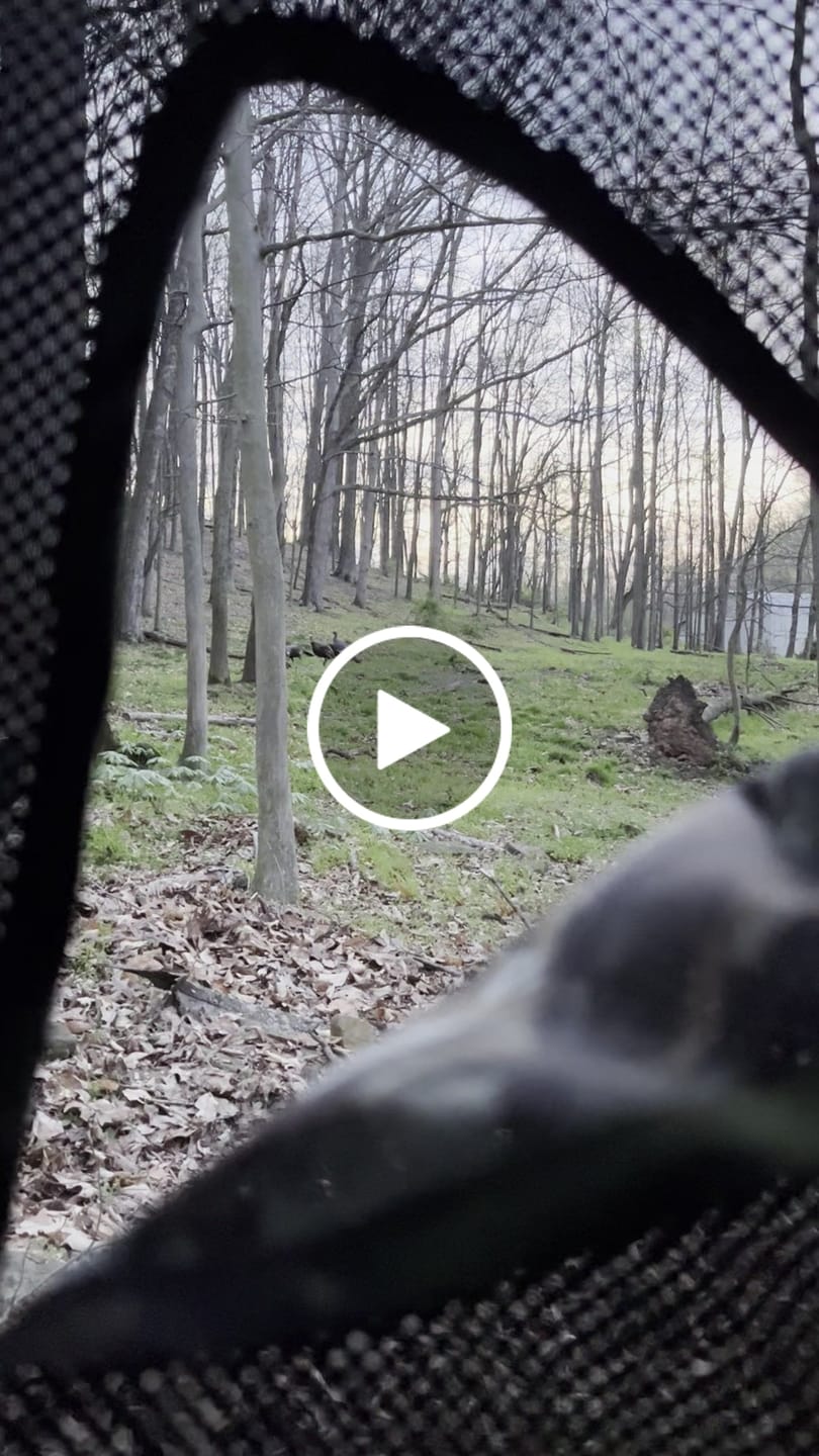 Customer video review of VisST See-Through Pop-Up Ground Blinds with Silent Magnetic Door