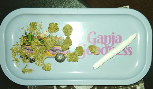 Customer photo review of Lemon Cherry Gelato Runtz - 28 Grams Littles (Micros) - Indica