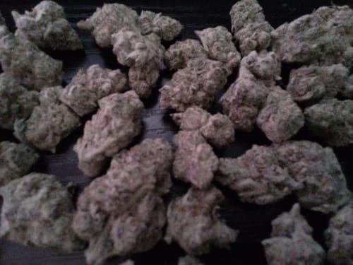 Customer photo review of Glitter Bomb Greenhouse THCA (Smalls)