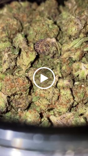 Customer video review of Bulk Mixlight Smalls