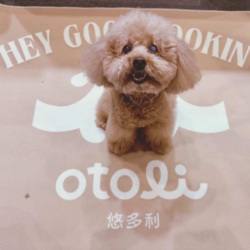 淑富 review of 【來圖訂製】圈絨印花地毯入門地墊 TPR防滑底背 image 1 out of 1