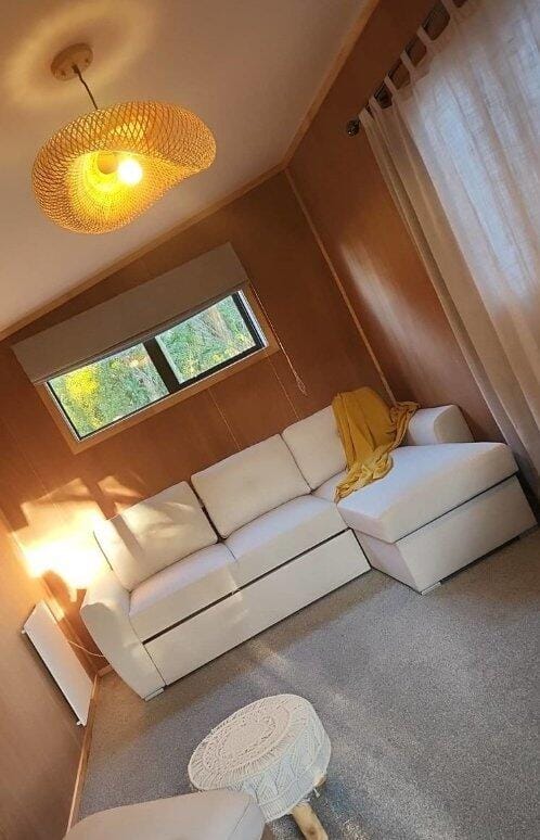 Customer photo review of Cuneo Sofa Bed with storage (Multi Color options)