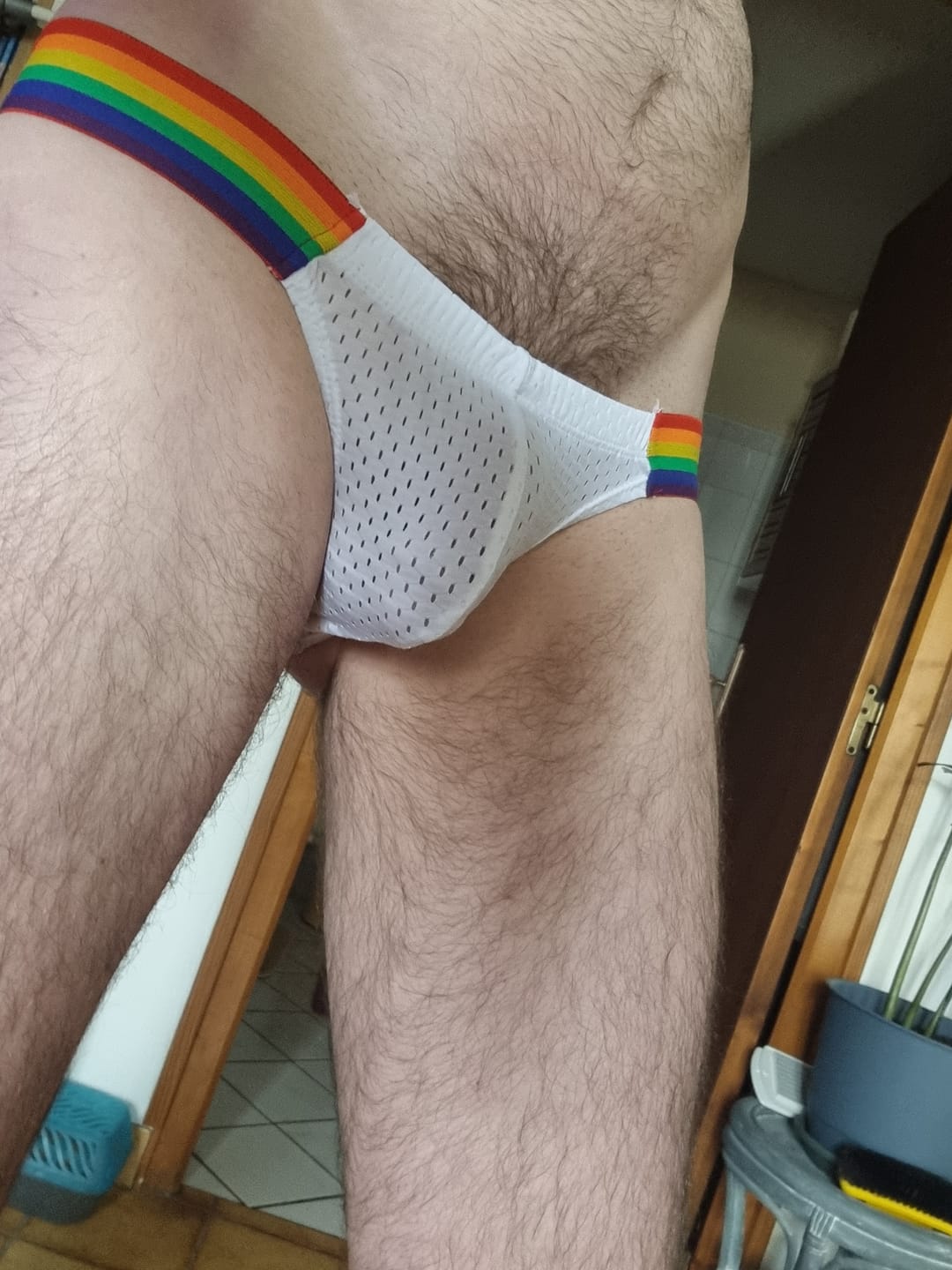 Customer photo review of Men's Sexy Rainbow Pride Mesh Bikini