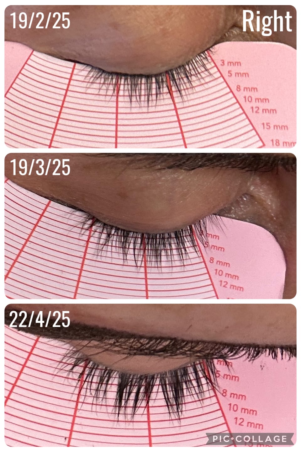 Customer photo review of Eyelash Growth Serum