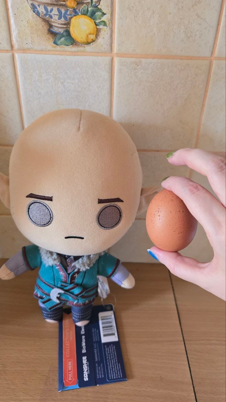 Customer photo review of Dragon Age - Solas Collector's Plush
