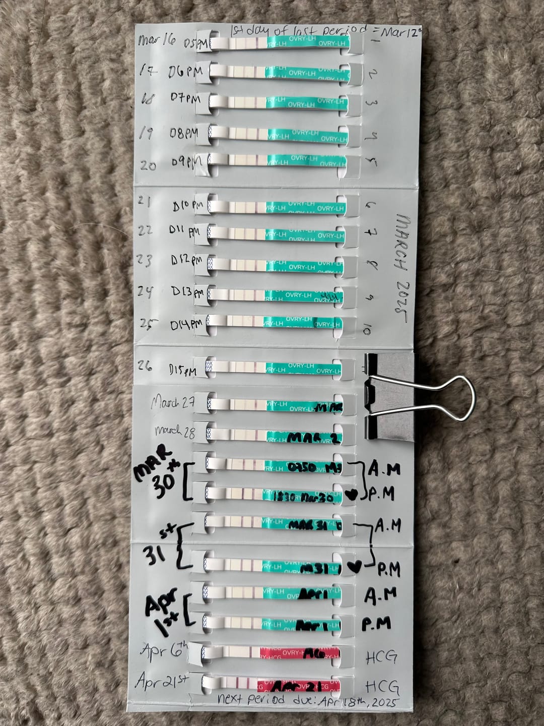 Customer photo review of Ovulation Test Strips