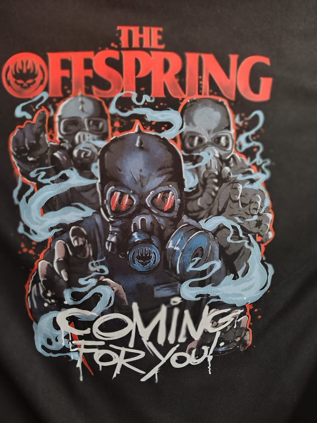 Customer photo review of Buzo Capota Doble Estampado The Offspring Coming For You