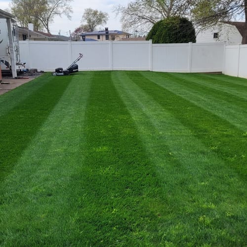 Customer photo review of Massport Rotarola