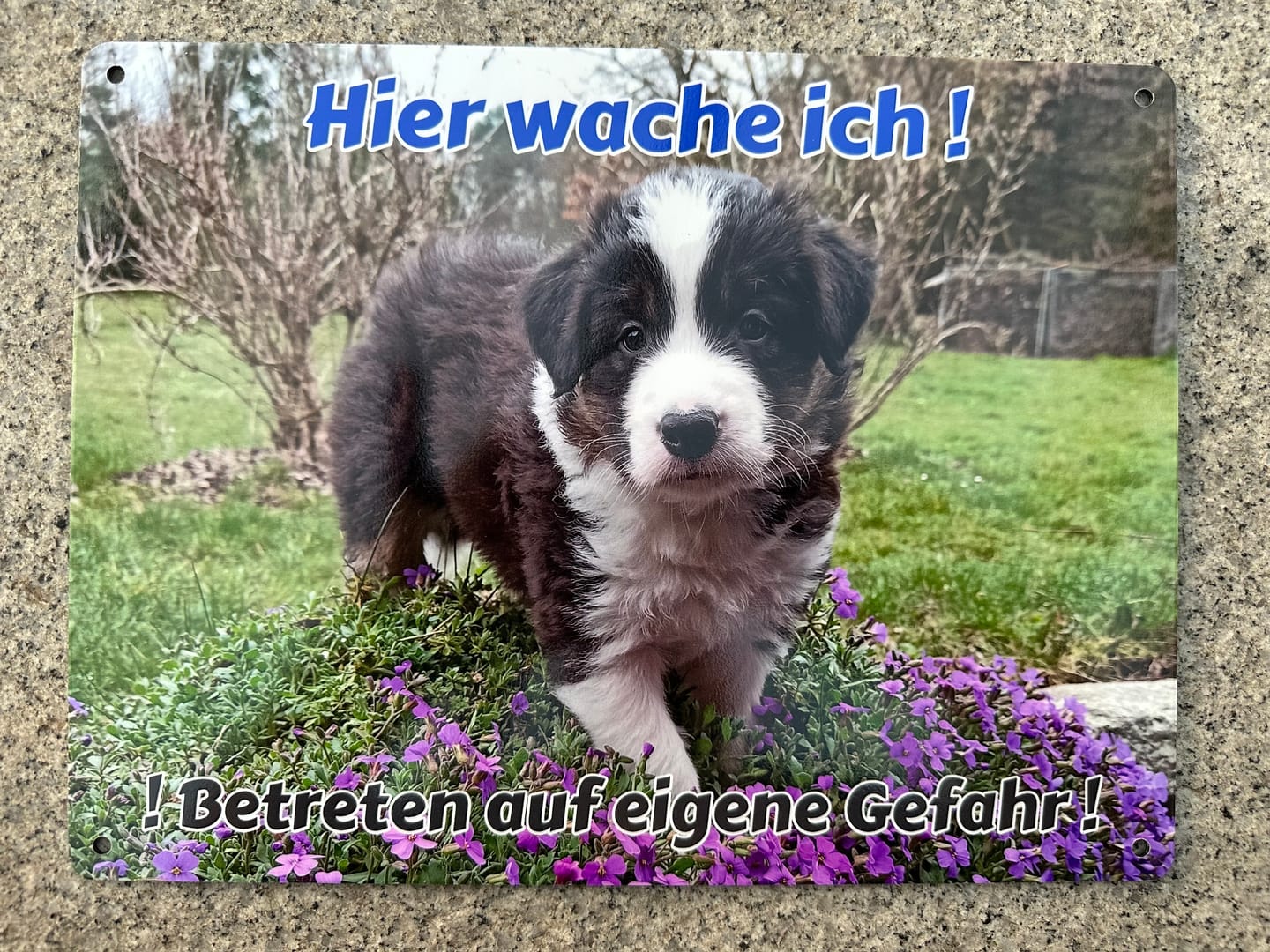 Customer photo review of Hunde-Türschild personalisiert mit Foto & Text (UV- und wetterfest)