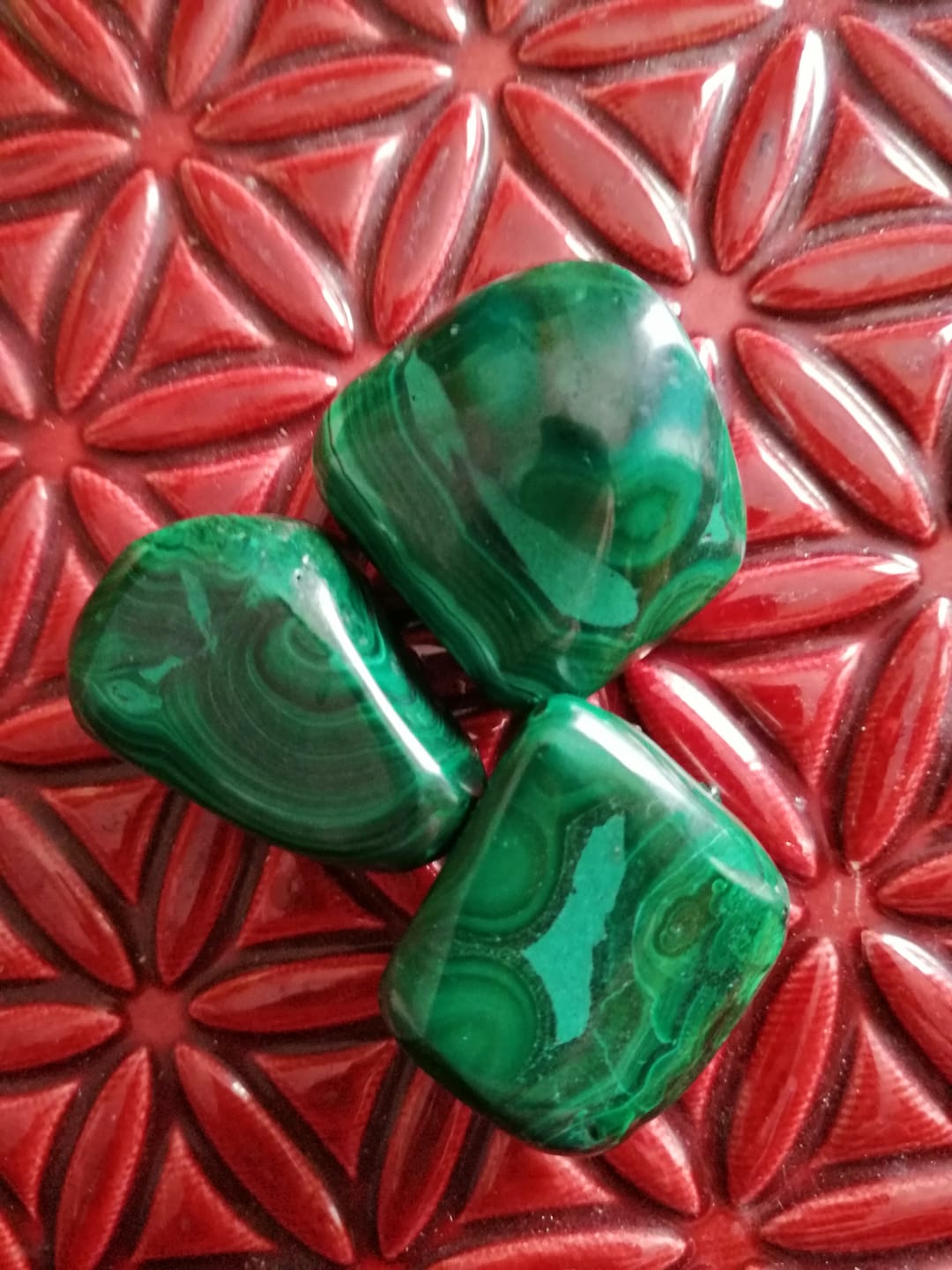 Customer photo review of Malachite Verte
