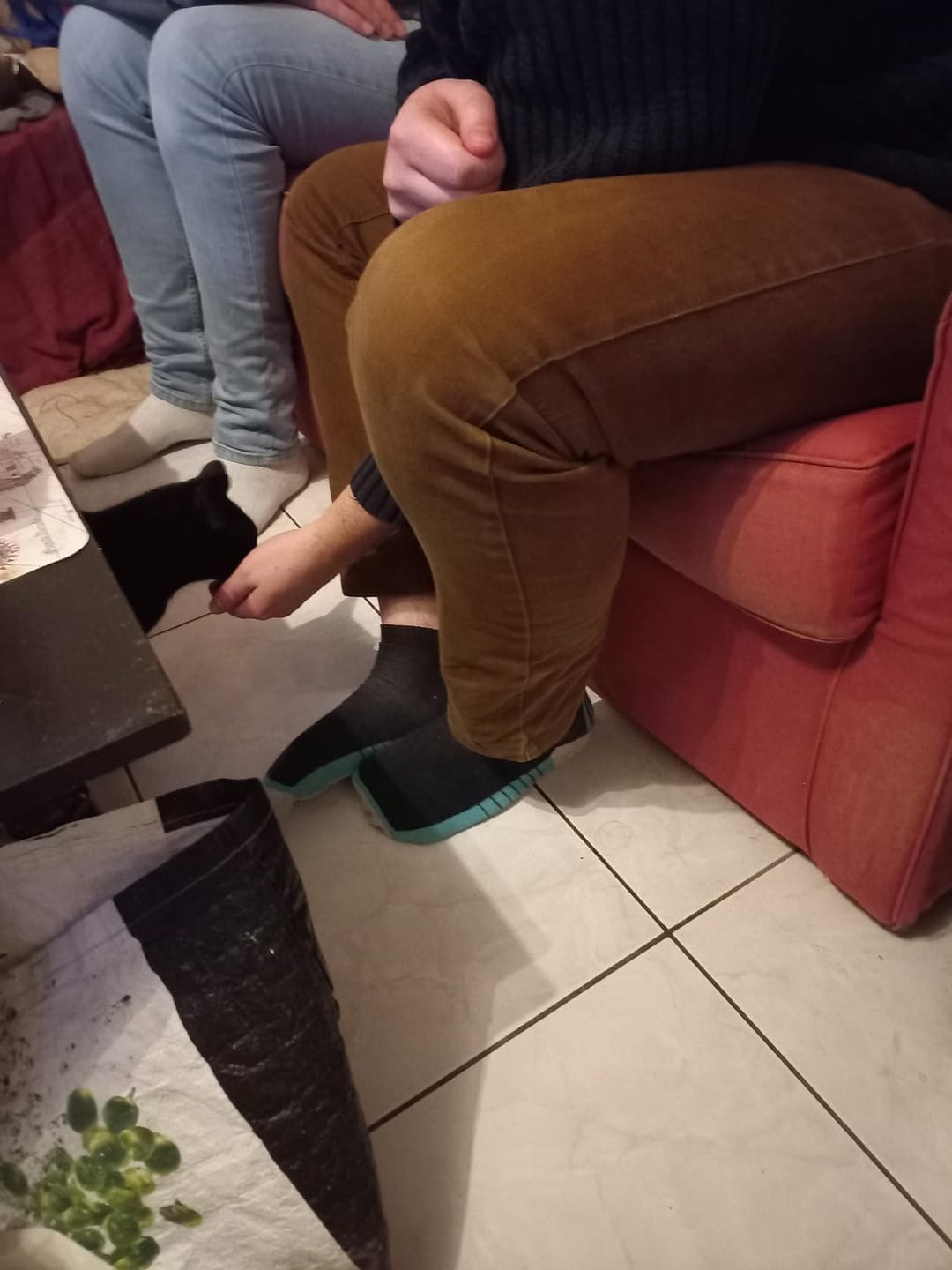 Customer photo review of Complément anti-stress  | Chat