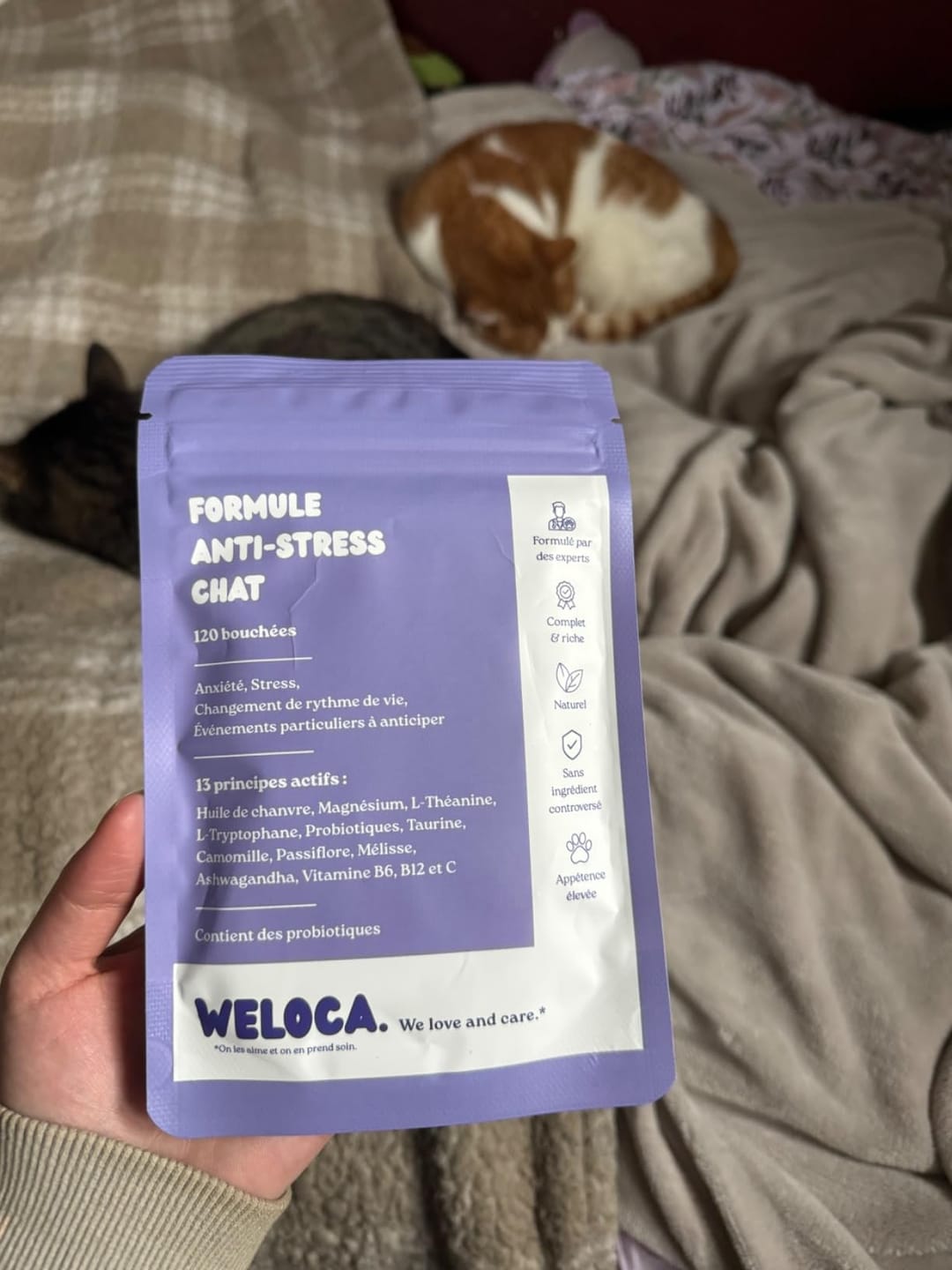 Customer photo review of Complément anti-stress  | Chat