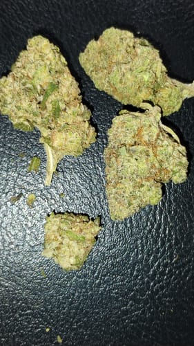 Customer photo review of Pineapple Express THCA Flower