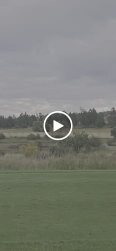 Customer video review of High Waist Pocket Leggings