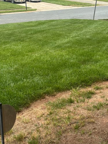 Customer photo review of In Store GCI Turf 30-0-0 G