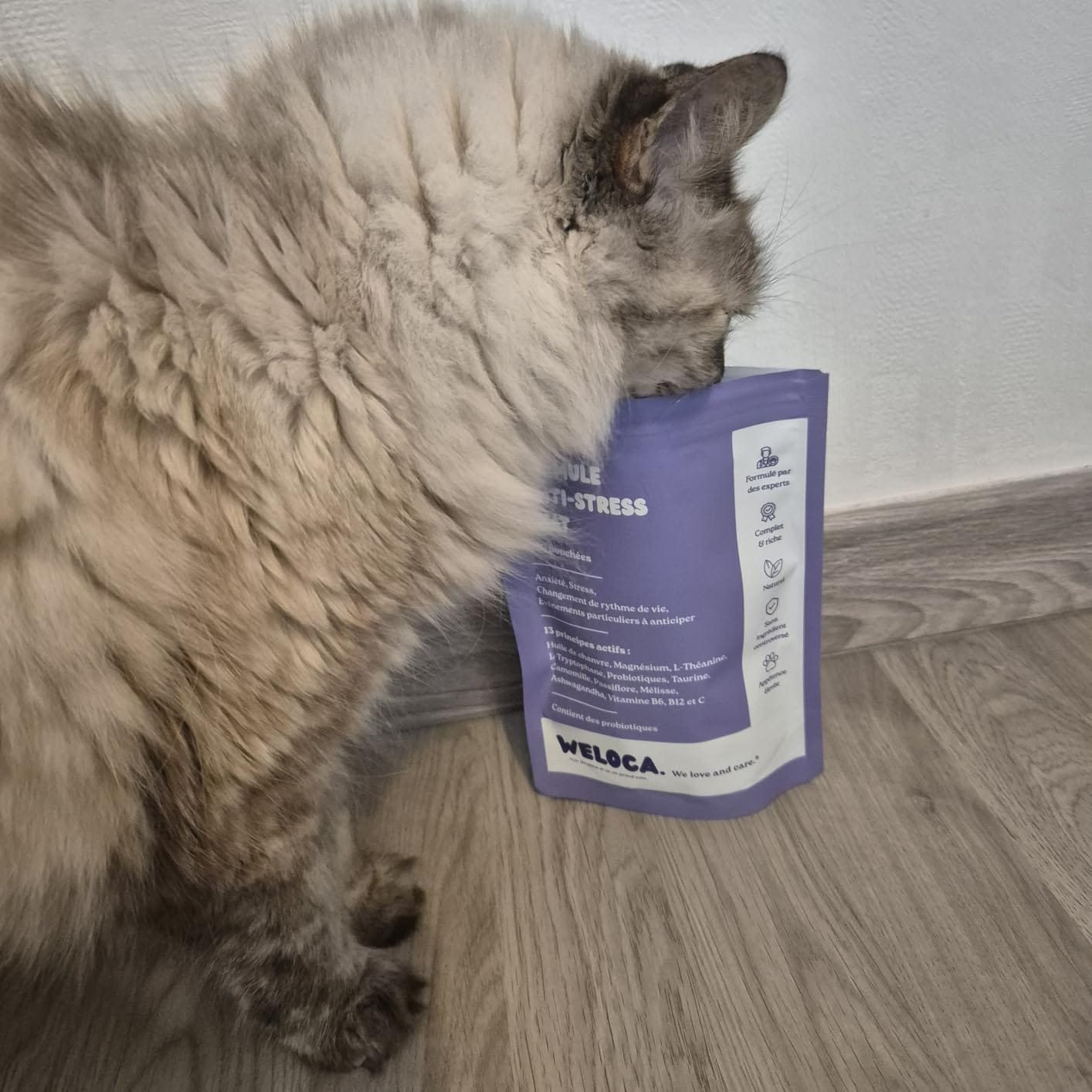 Customer photo review of Complément anti-stress  | Chat