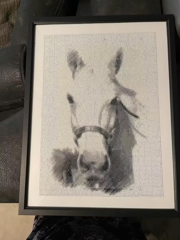 Customer photo review of DIAMOND PAINTING MED DIT EGET FOTO