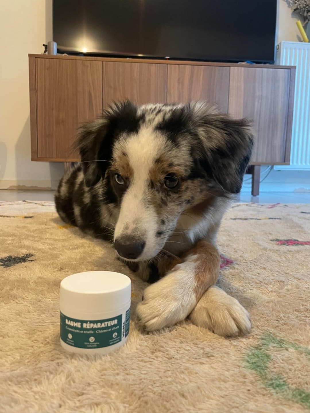 Customer photo review of Baume réparateur | Chiens et chats