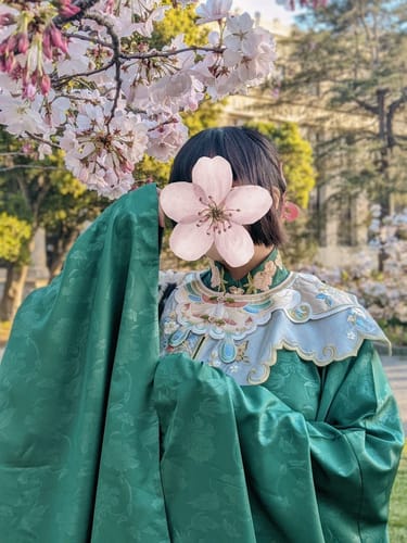 Customer photo review of Yeyou Mancao 野有蔓草 Wild Vines Ming Dynasty Embroidered Aoqun Cloud Collar Set